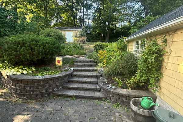 House sit in Halifax, NS, Canada