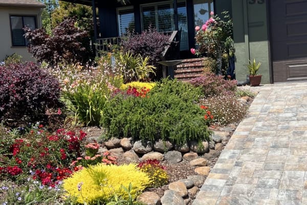 House sit in Millbrae, CA, US