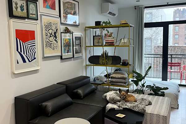 House sit in Brooklyn, NY, US