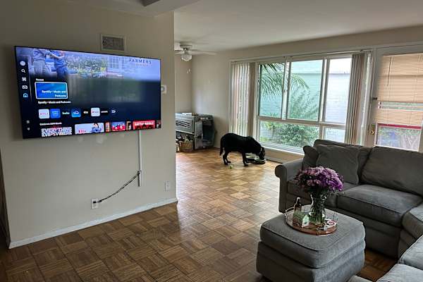 House sit in Los Angeles, CA, US
