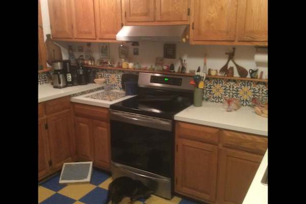 House sit in Fredericksburg, VA, US
