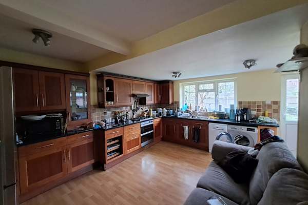 House sit in Romsey, United Kingdom