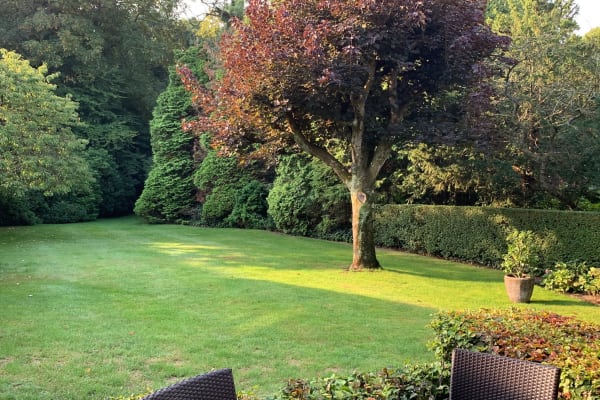 House sit in Wassenaar, Netherlands