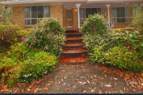 House sit in Sunshine Coast, QLD, Australia