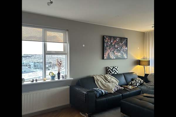 House sit in Reykjavík, Iceland