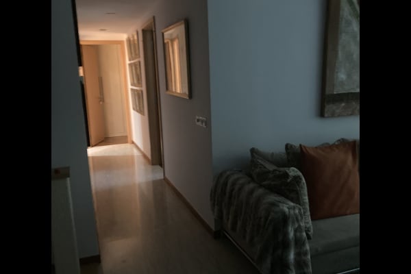 House sit in Singapore, Singapore