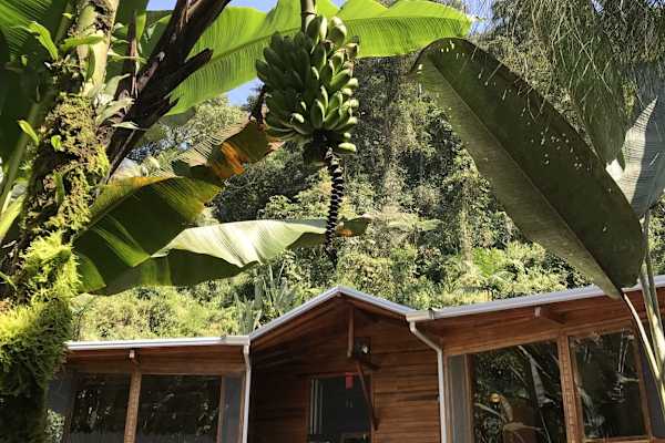 House sit in Mindo, Ecuador