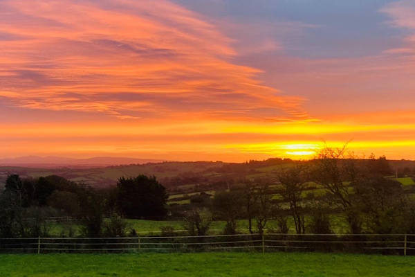 House sit in Newcastle West, Ireland