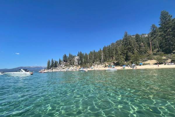 House sit in Carnelian Bay, CA, US