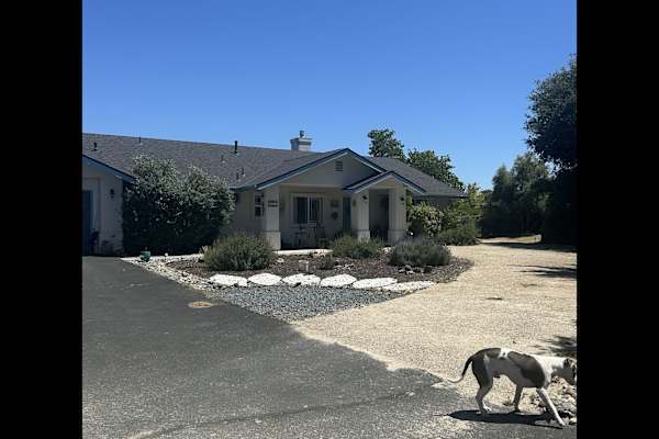 House sit in Templeton, CA, US