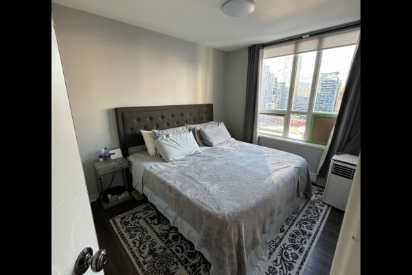House sit in Vancouver, BC, Canada