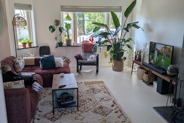 House sit in Kinderdijk, Netherlands