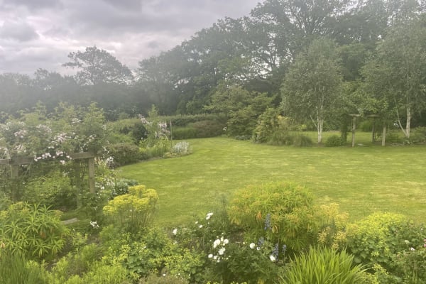 House sit in Haslemere, United Kingdom