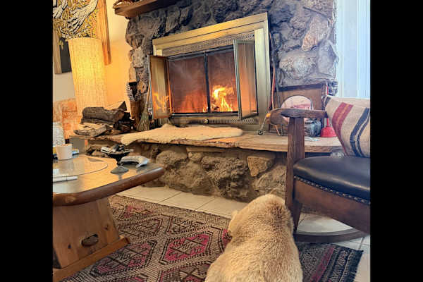 House sit in Marfa, TX, US