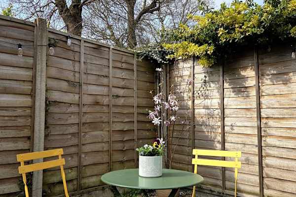 House sit in London, United Kingdom