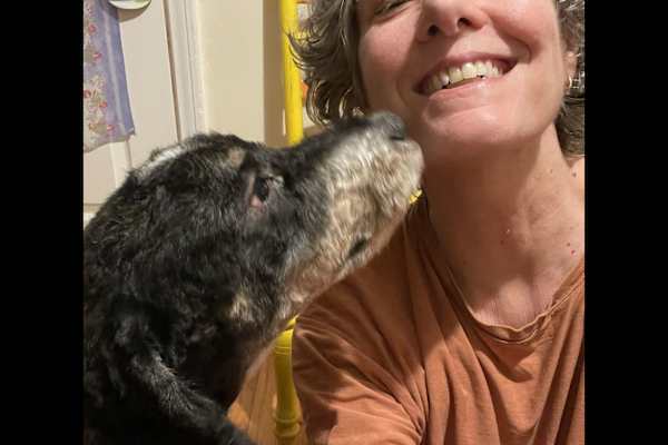 House sit in Ann Arbor, MI, US