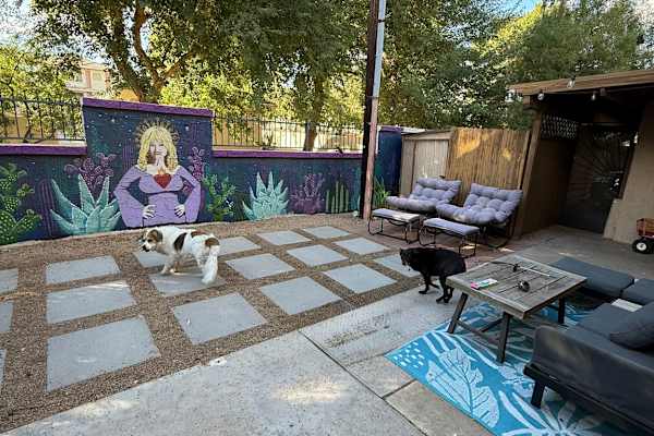 House sit in Phoenix, AZ, US