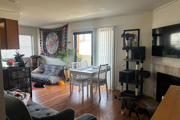 House sit in Culver City, CA, US