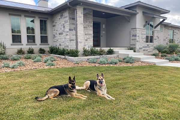 House sit in Boerne, TX, US