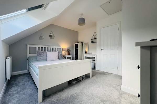 House sit in Exeter, United Kingdom