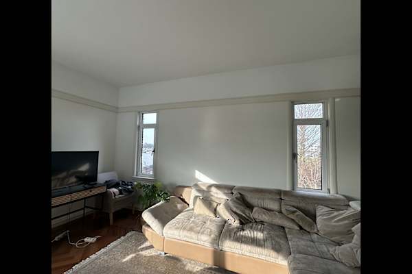 House sit in Scheveningen, Netherlands