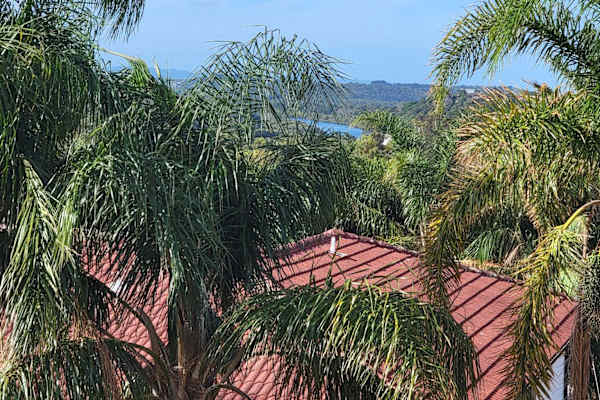 House sit in Kiama, NSW, Australia