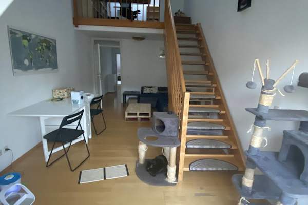 House sit in Munich, Germany