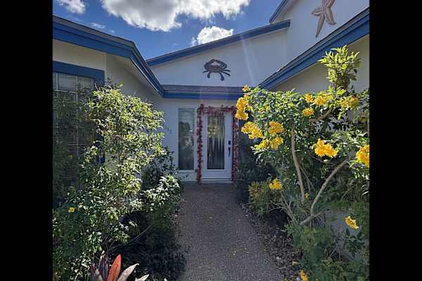 House sit in Corpus Christi, TX, US