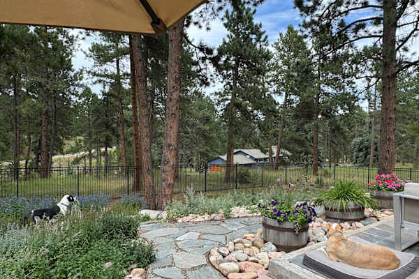 House sit in Evergreen, CO, US
