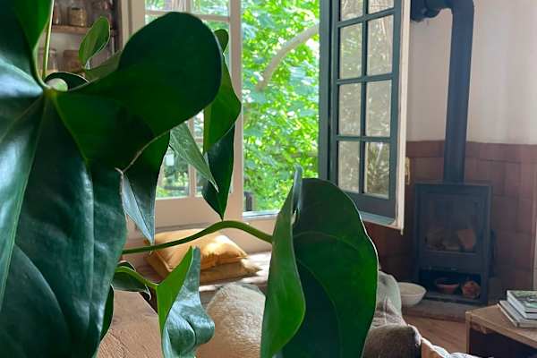 House sit in Sant Pere de Ribes, Spain