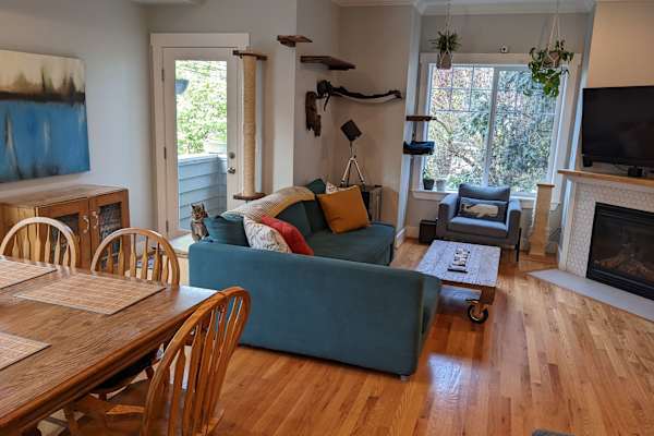 House sit in Seattle, WA, US