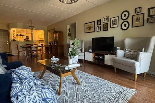 House sit in Evanston, IL, US
