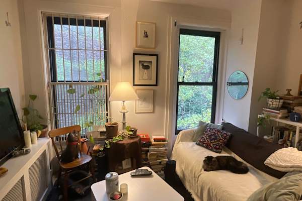 House sit in Brooklyn, NY, US