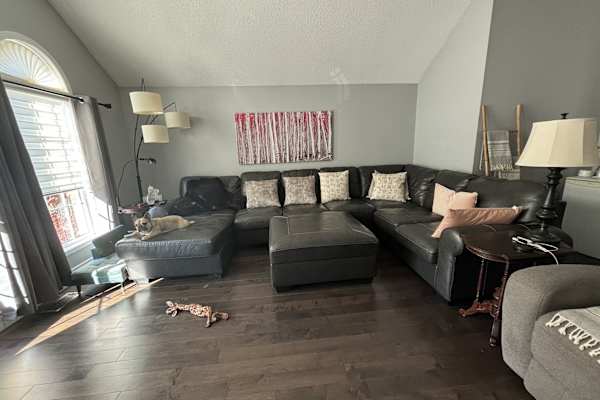 House sit in Mississauga, ON, Canada