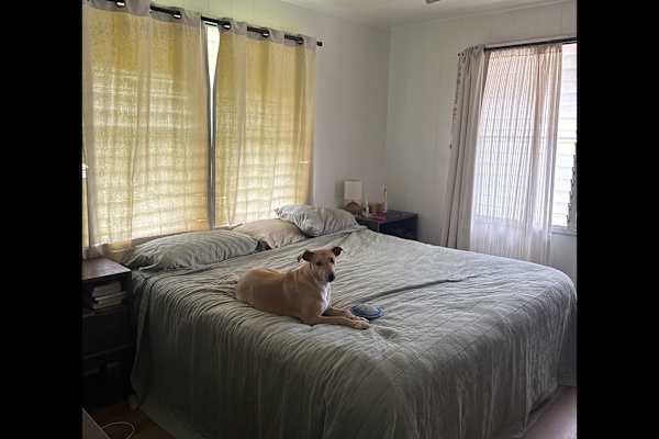 House sit in Kailua, HI, US