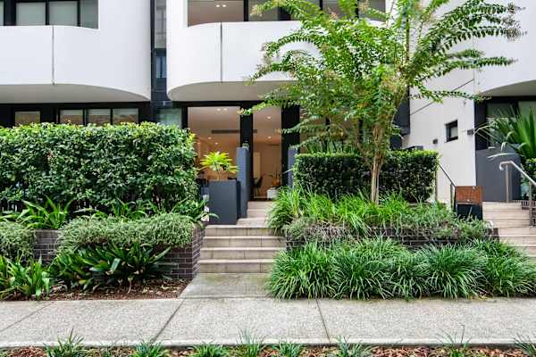 House sit in Sydney, NSW, Australia