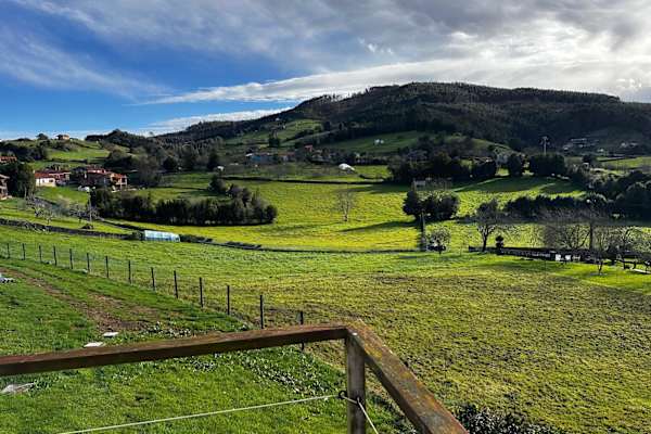House sit in Villaviciosa, Spain