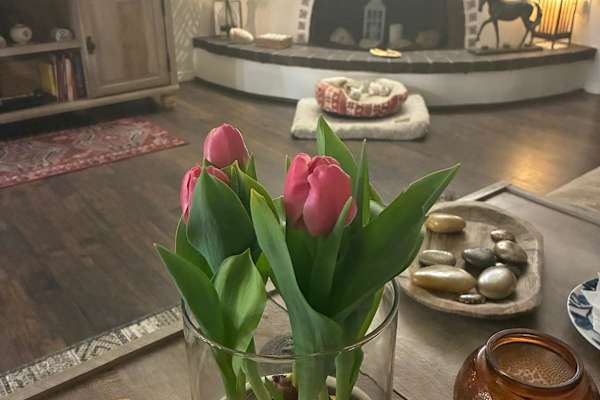 House sit in Santa Fe, NM, US