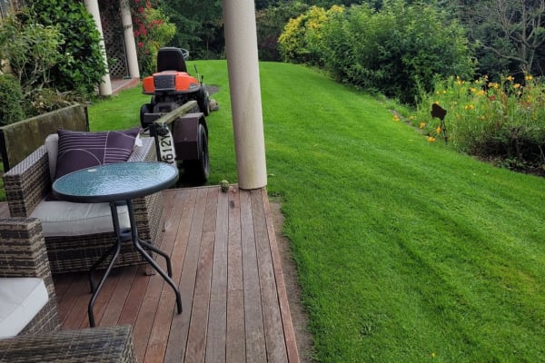 House sit in Tauranga, New Zealand