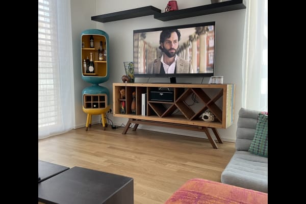 House sit in Horgen, Switzerland