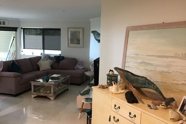 House sit in Port Stephens, NSW, Australia