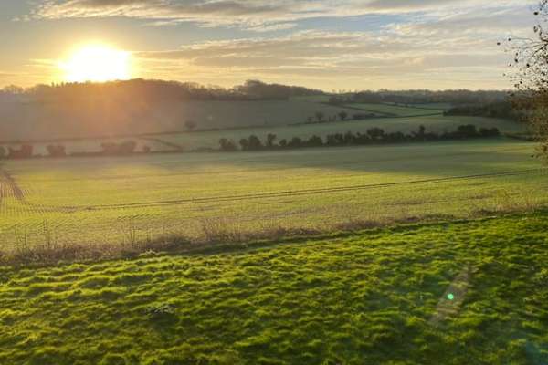 House sit in Alton, United Kingdom