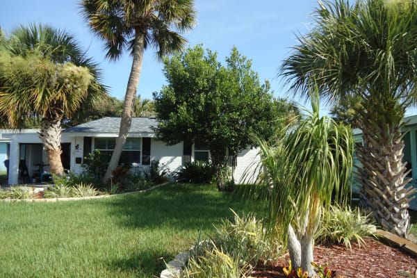 House sit in Ormond Beach, FL, US