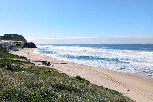 House sit in Newcastle, NSW, Australia