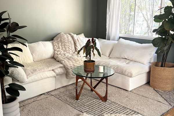 House sit in Los Angeles, CA, US
