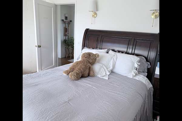 House sit in Palo Alto, CA, US