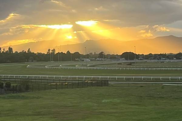 House sit in Christchurch, New Zealand