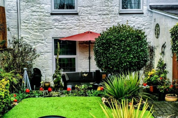 House sit in St Ives, United Kingdom