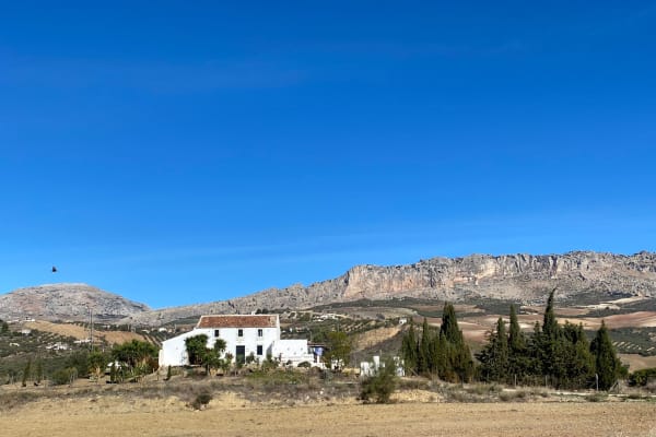 House sit in Villanueva de la Concepción, Spain