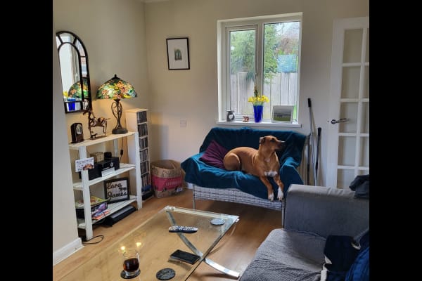 House sit in Hitchin, United Kingdom